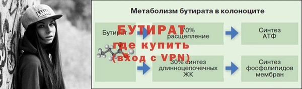 индика Богданович